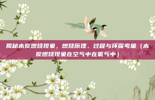 揭秘木炭燃烧现象，燃烧原理、过程与环保考量（木炭燃烧现象在空气中在氧气中）