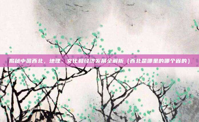 揭秘中国西北，地理、文化和经济发展全解析（西北是哪里的哪个省的）