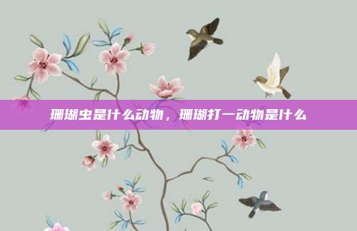 珊瑚虫是什么动物,珊瑚打一动物是什么