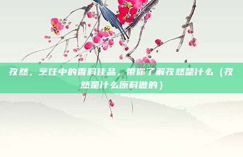孜然，烹饪中的香料佳品，带你了解孜然是什么（孜然是什么原料做的）