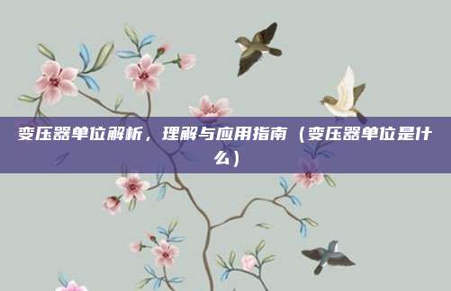 变压器单位解析，理解与应用指南（变压器单位是什么）