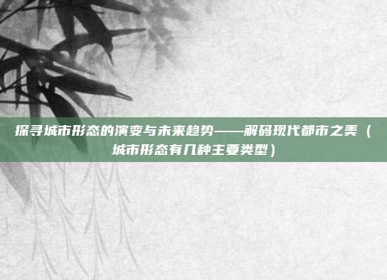 探寻城市形态的演变与未来趋势——解码现代都市之美（城市形态有几种主要类型）