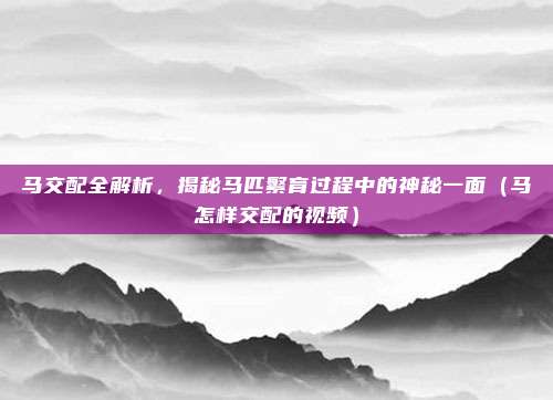 马交配全解析，揭秘马匹繁育过程中的神秘一面（马怎样交配的视频）