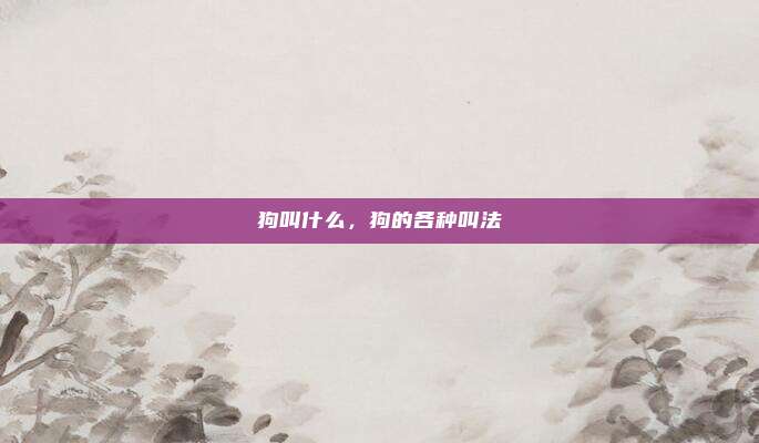 狗叫什么,狗的各种叫法