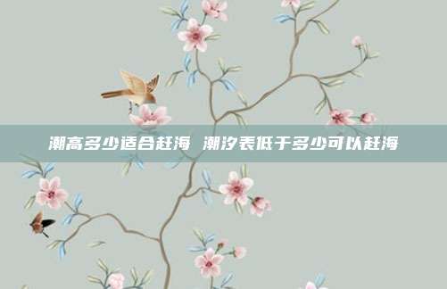 潮高多少适合赶海 潮汐表低于多少可以赶海