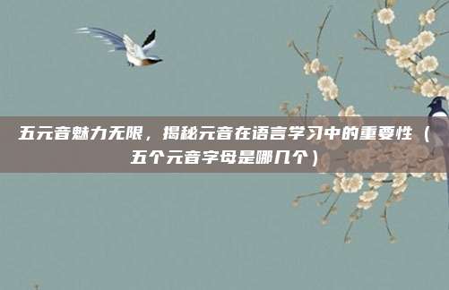 五元音魅力无限，揭秘元音在语言学习中的重要性（五个元音字母是哪几个）