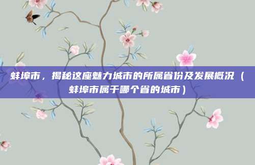 蚌埠市，揭秘这座魅力城市的所属省份及发展概况（蚌埠市属于哪个省的城市）