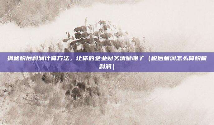 揭秘税后利润计算方法，让你的企业财务清晰明了（税后利润怎么算税前利润）