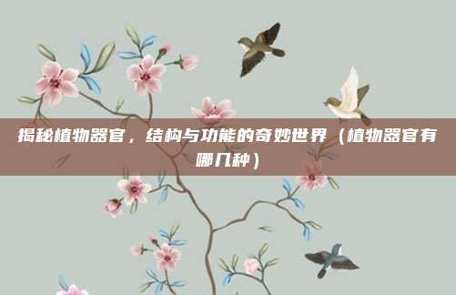 揭秘植物器官，结构与功能的奇妙世界（植物器官有哪几种）