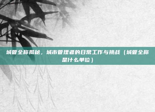 城管全称揭秘，城市管理者的日常工作与挑战（城管全称是什么单位）