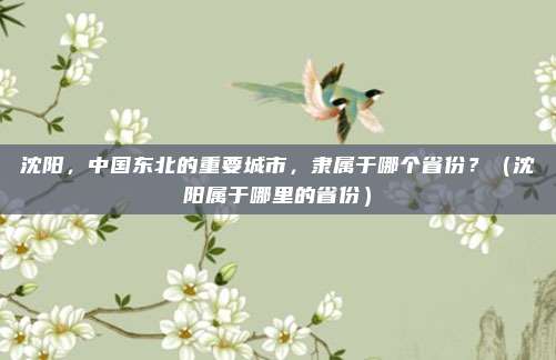 沈阳，中国东北的重要城市，隶属于哪个省份？（沈阳属于哪里的省份）