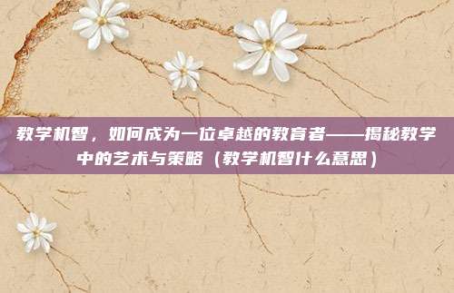 教学机智，如何成为一位卓越的教育者——揭秘教学中的艺术与策略（教学机智什么意思）