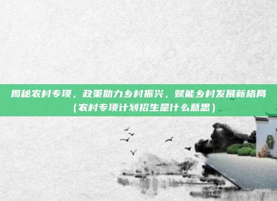 揭秘农村专项，政策助力乡村振兴，赋能乡村发展新格局（农村专项计划招生是什么意思）