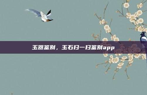 玉器鉴别，玉石扫一扫鉴别app