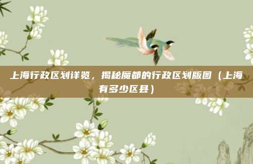 上海行政区划详览，揭秘魔都的行政区划版图（上海有多少区县）