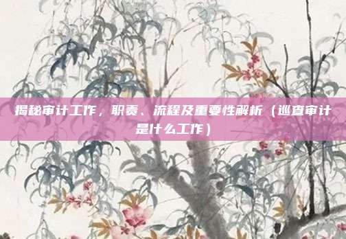 揭秘审计工作，职责、流程及重要性解析（巡查审计是什么工作）