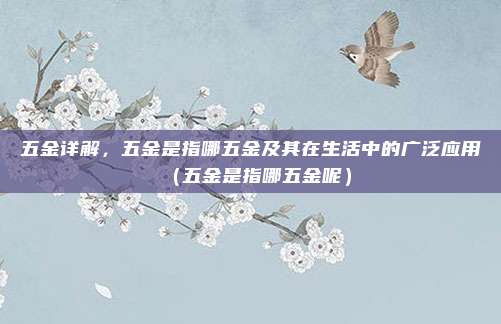 五金详解，五金是指哪五金及其在生活中的广泛应用（五金是指哪五金呢）