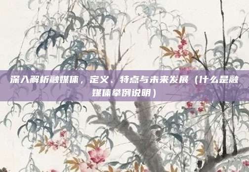 深入解析融媒体，定义、特点与未来发展（什么是融媒体举例说明）