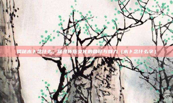 揭秘木卜念什么,探寻传统文化的精髓与魅力(木卜念什么字)