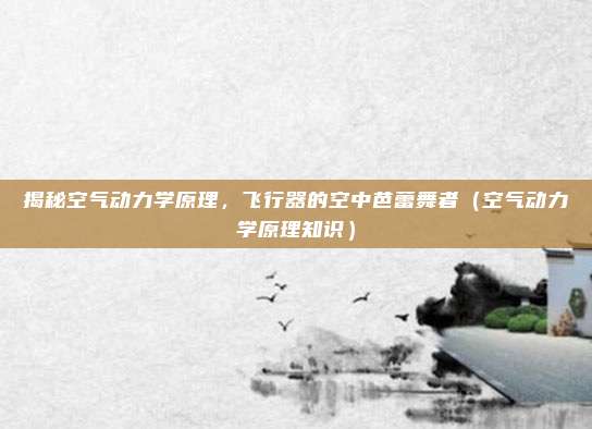 揭秘空气动力学原理，飞行器的空中芭蕾舞者（空气动力学原理知识）