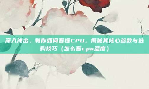 深入浅出，教你如何看懂CPU，揭秘其核心参数与选购技巧（怎么看cpu温度）