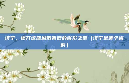 济宁，揭开这座城市背后的省份之谜（济宁是哪个省的）