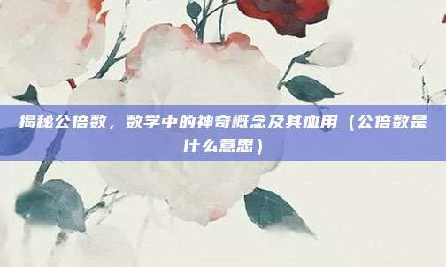 揭秘公倍数，数学中的神奇概念及其应用（公倍数是什么意思）