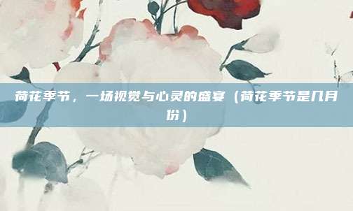 荷花季节，一场视觉与心灵的盛宴（荷花季节是几月份）