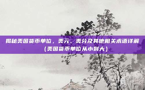 揭秘美国货币单位，美元、美分及其他相关术语详解（美国货币单位从小到大）