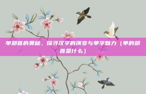 单部首的奥秘，探寻汉字的演变与单字魅力（单的部首是什么）