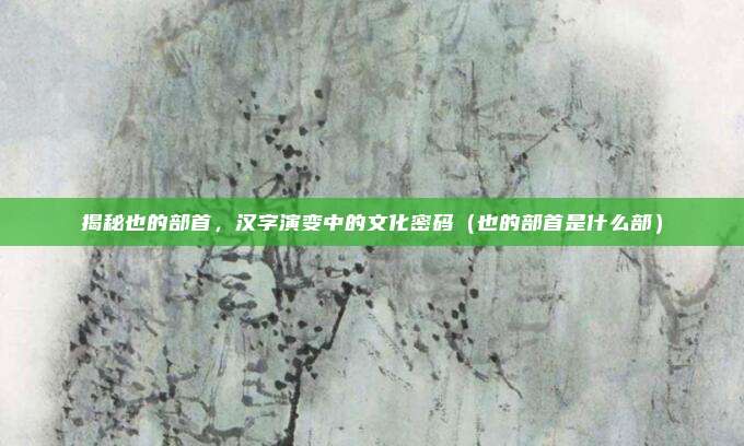 揭秘也的部首，汉字演变中的文化密码（也的部首是什么部）