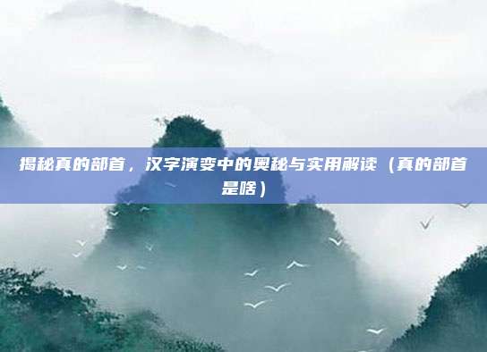 揭秘真的部首，汉字演变中的奥秘与实用解读（真的部首是啥）