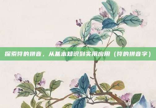 探索符的拼音，从基本知识到实用应用（符的拼音字）