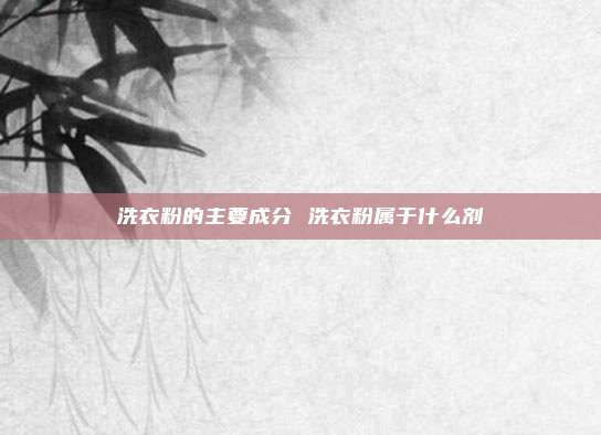洗衣粉的主要成分 洗衣粉属于什么剂