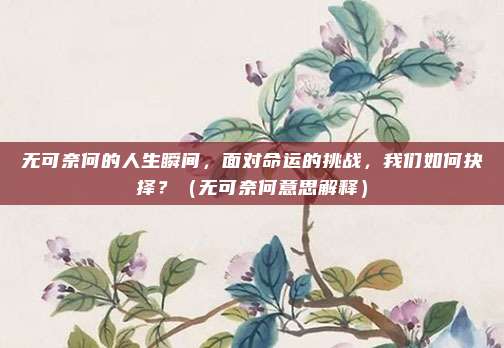 无可奈何的人生瞬间，面对命运的挑战，我们如何抉择？（无可奈何意思解释）