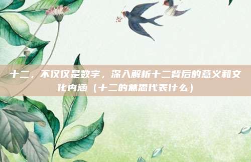 十二，不仅仅是数字，深入解析十二背后的意义和文化内涵（十二的意思代表什么）