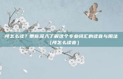 颅怎么读？带你深入了解这个专业词汇的读音与用法（颅怎么读音）