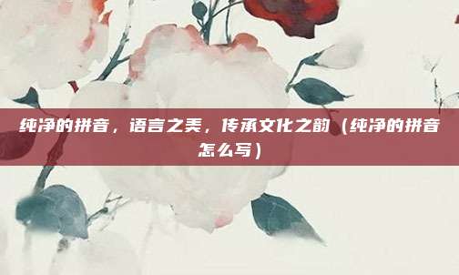 纯净的拼音，语言之美，传承文化之韵（纯净的拼音怎么写）