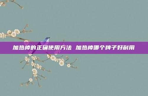 加热棒的正确使用方法 加热棒哪个牌子好耐用