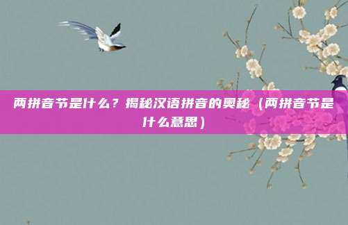 两拼音节是什么？揭秘汉语拼音的奥秘（两拼音节是什么意思）