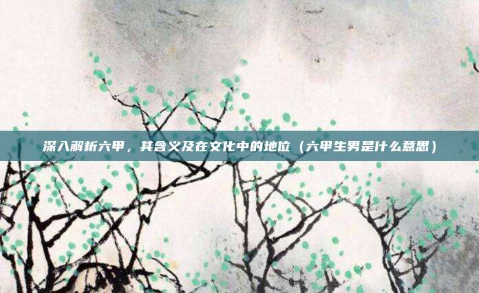 深入解析六甲，其含义及在文化中的地位（六甲生男是什么意思）