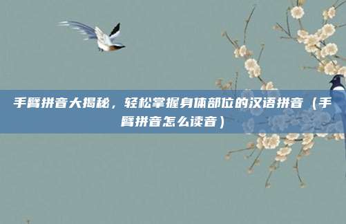 手臂拼音大揭秘，轻松掌握身体部位的汉语拼音（手臂拼音怎么读音）
