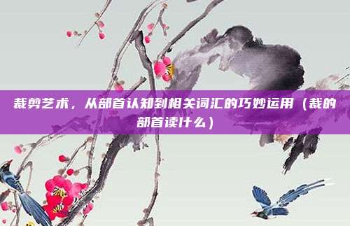 裁剪艺术，从部首认知到相关词汇的巧妙运用（裁的部首读什么）