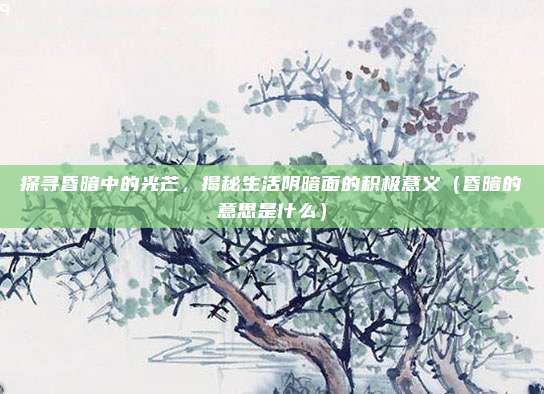 探寻昏暗中的光芒，揭秘生活阴暗面的积极意义（昏暗的意思是什么）
