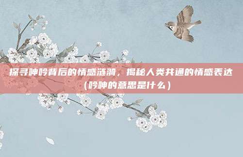 探寻呻吟背后的情感涟漪，揭秘人类共通的情感表达（吟呻的意思是什么）