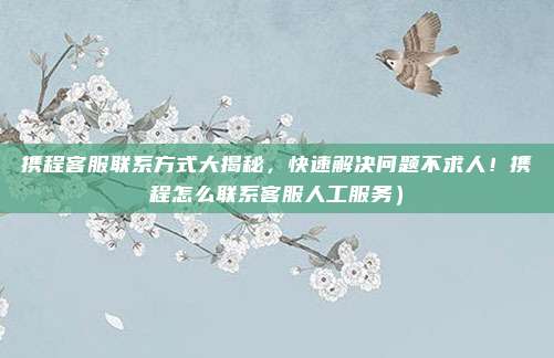 携程客服联系方式大揭秘,快速解决问题不求人!携程怎么联系客服人工服务)