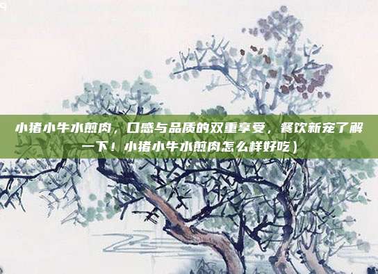 小猪小牛水煎肉,口感与品质的双重享受,餐饮新宠了解一下!小猪小牛水煎肉怎么样好吃)