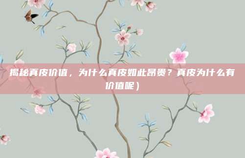 揭秘真皮价值,为什么真皮如此昂贵?真皮为什么有价值呢)