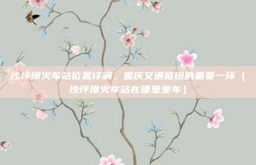 沙坪坝火车站位置详解,重庆交通枢纽的重要一环(沙坪坝火车站在哪里坐车)
