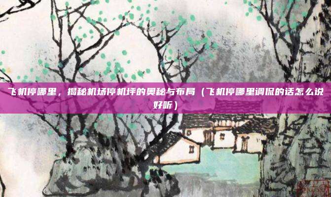 飞机停哪里,揭秘机场停机坪的奥秘与布局(飞机停哪里调侃的话怎么说好听)